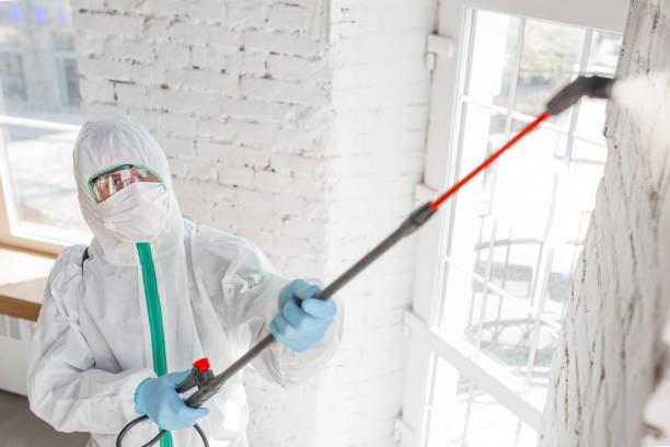Best Mold Prevention Services  in Mascotte, FL
