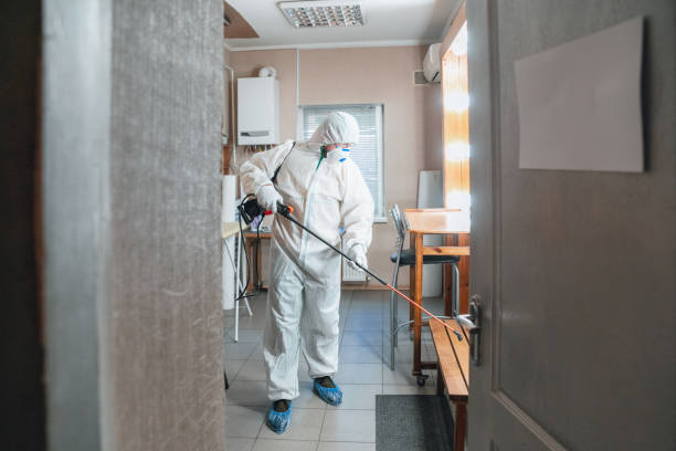 Best Air Quality Testing for Mold Spores  in Mascotte, FL