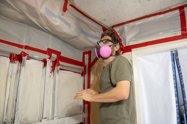 Best Mold Damage Restoration  in Mascotte, FL