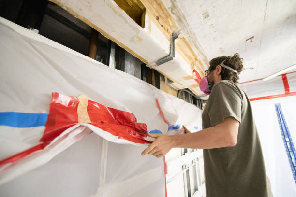 Best Black Mold Removal  in Mascotte, FL