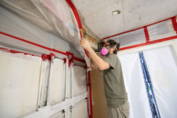 Best Dehumidification Services  in Mascotte, FL