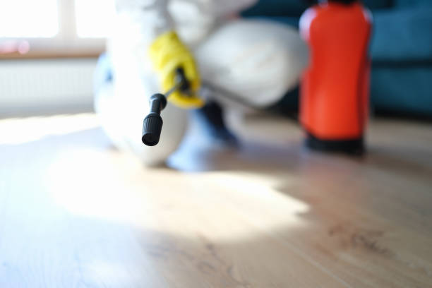 Best Environmental Consulting for Mold Prevention  in Mascotte, FL