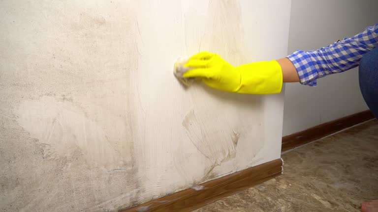 Best Indoor Air Quality Assessment  in Mascotte, FL