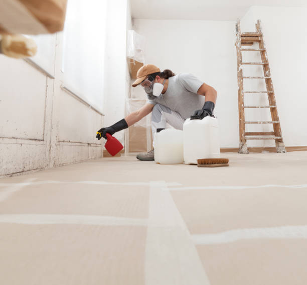 Best Environmental Consulting for Mold Prevention  in Mascotte, FL